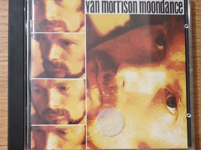 Van Morrisson