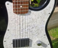 EMG 81 Loaded Pickguard