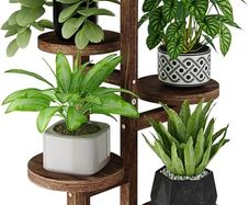 5 Tier Tall Plant Stand Indoor, Corner Wood Plant Shelf for Multiple Plants, Tiered Round Flower Stand for Patio Garden Balcony Living Room Bedroom
