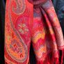 Pashmina - New Image 2