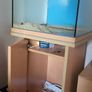fish tank Image 3