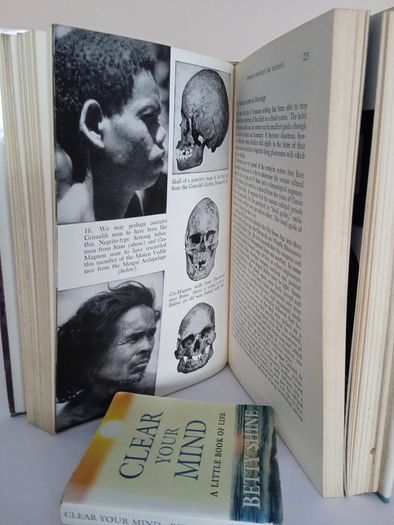 In Search of Adam: The Story of Man's Quest for the Truth about His Earliest Ancestors by Herbert Wendt. Translated from the German by James Cleugh (GT110)