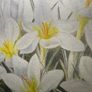 Original E.A. McEwen Watercolour - Crocuses - Signed - Belfast Artist Image 2