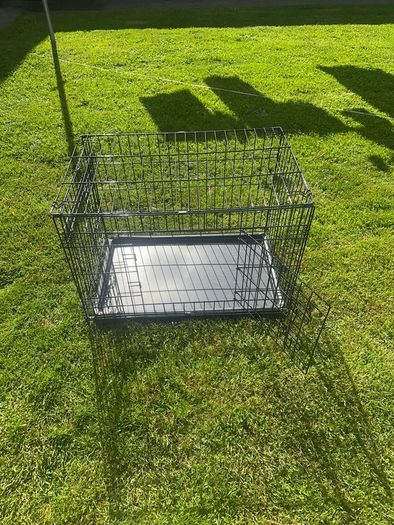 dog crate