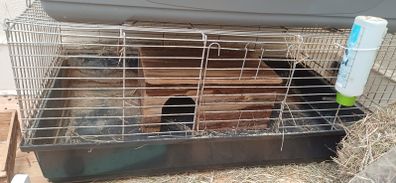Rabbit cage
