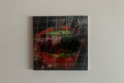 Animal Collective Centipede HZ CD Digipak NM