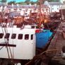 Dollard Postcard. No. 442. Killybegs, Co. Donegal, Ireland. Image 5