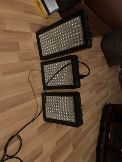 Plant Grow Lights Full spectrum