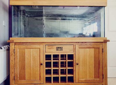 Fish Tank