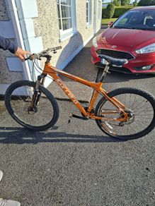 adults bike