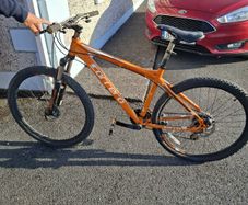 adults bike
