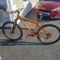 adults bike