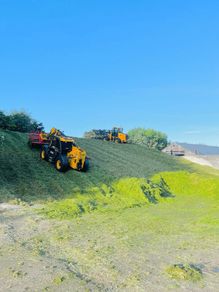 Pit silage for sale
