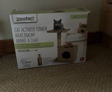 Cats activity tower