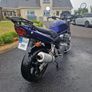 Suzuki Bandit 2003 Image 2