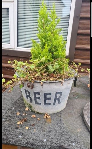 Pub