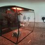 Cold water fish tank Image 2