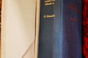 Irish- English Dictionary / Focloir Gaeilge - Bearla / Niall O Donaill /1977