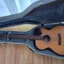 Cort semi-acoustic guitar Image 4