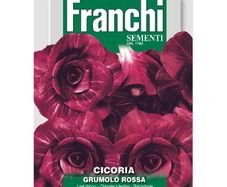 (C) Fr. Chicory seeds Rossa Verona Tradiva Large 12g pack (806370)