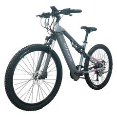 Randride Yg90a Electric Bike