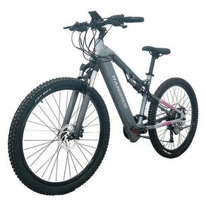Randride Yg90a Electric Bike