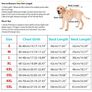 Poseca Insulated - waterproof Dog Jacket, small dog, integrated harness loop Image 4