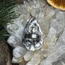 1 Orthoceras Extinct Natural Fossil Black White Handcrafted Ring size 8 Image 3