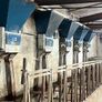 Milking parlour Image 5