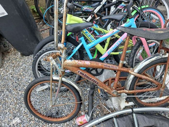 bikes