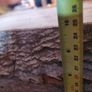 Giant wooden Live Beech Heavy Thick Slab - Ideal Table Top or Kitchen Island Epoxy Project. Image 4