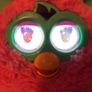 furby Image 3