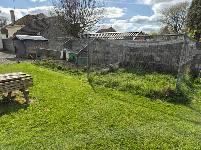 Chicken run,rabbit run