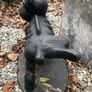 cast iron Dog Image 2