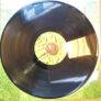 SOLD - WUBBLE-U - Petal - Indolent Records - Prog House / Breaks Image 8