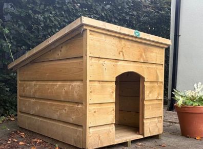 Flat Roof Dog Kennel
