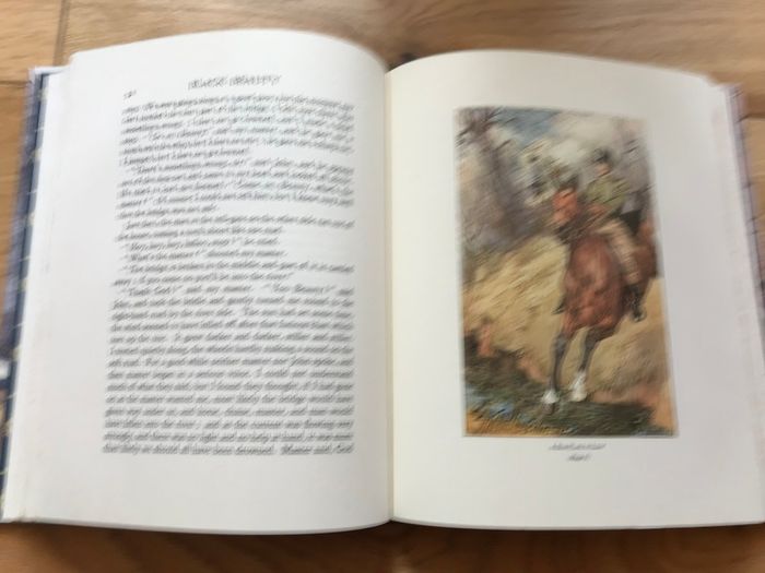 New Black Beauty Book