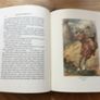 New Black Beauty Book Image 10