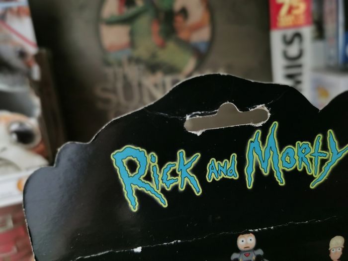 Rick and Morty ! Summer Collectible Action Figure ! by Funko ! 2018 !