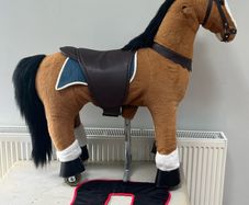 Pony cycle