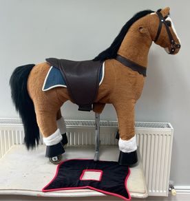 Pony cycle