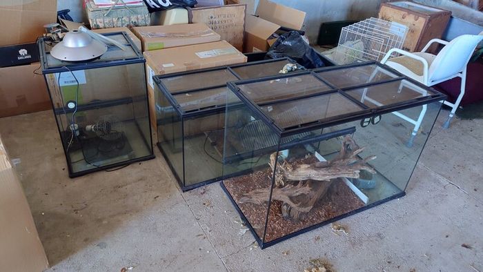 3 different size reptile glass tanks ideal to house , snakes lizards tanks  and bird cage