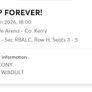 Concert K-pop Image 2