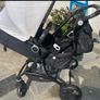 buggy Image 2