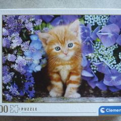 Jigsaw - Ginger cat
