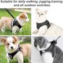 NEW SALE | Cat Harness and Lead Set, Soft Mesh Puppy Harness for Outdoor,Escape-Proof Cat Kitten Harness with Leash Image 3