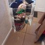 woman's clothes and bags Image 3