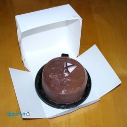 Lot of 10 Cake Boxes bakery brand New SIZE Cake Box 8 x 8 x 6'' / 20 x 20 x 15.2 cm