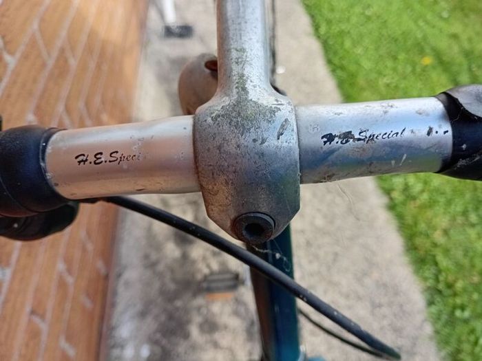 adults  bike