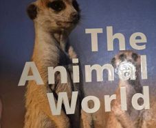 The animal world